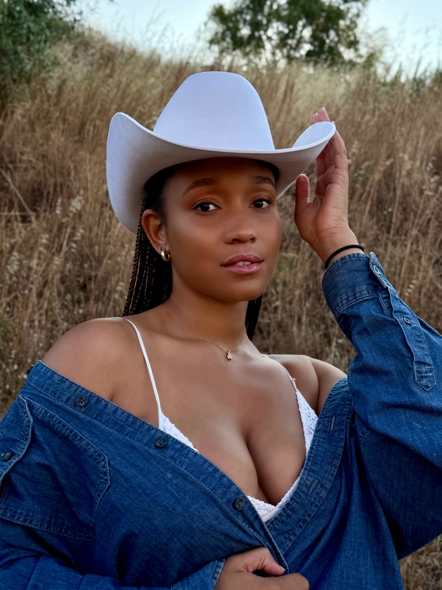 Mezio Cowboy Hat